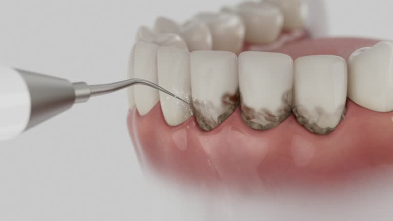 Reliable Dental contractor in Fredericksburg, VA by Dentist Open Now